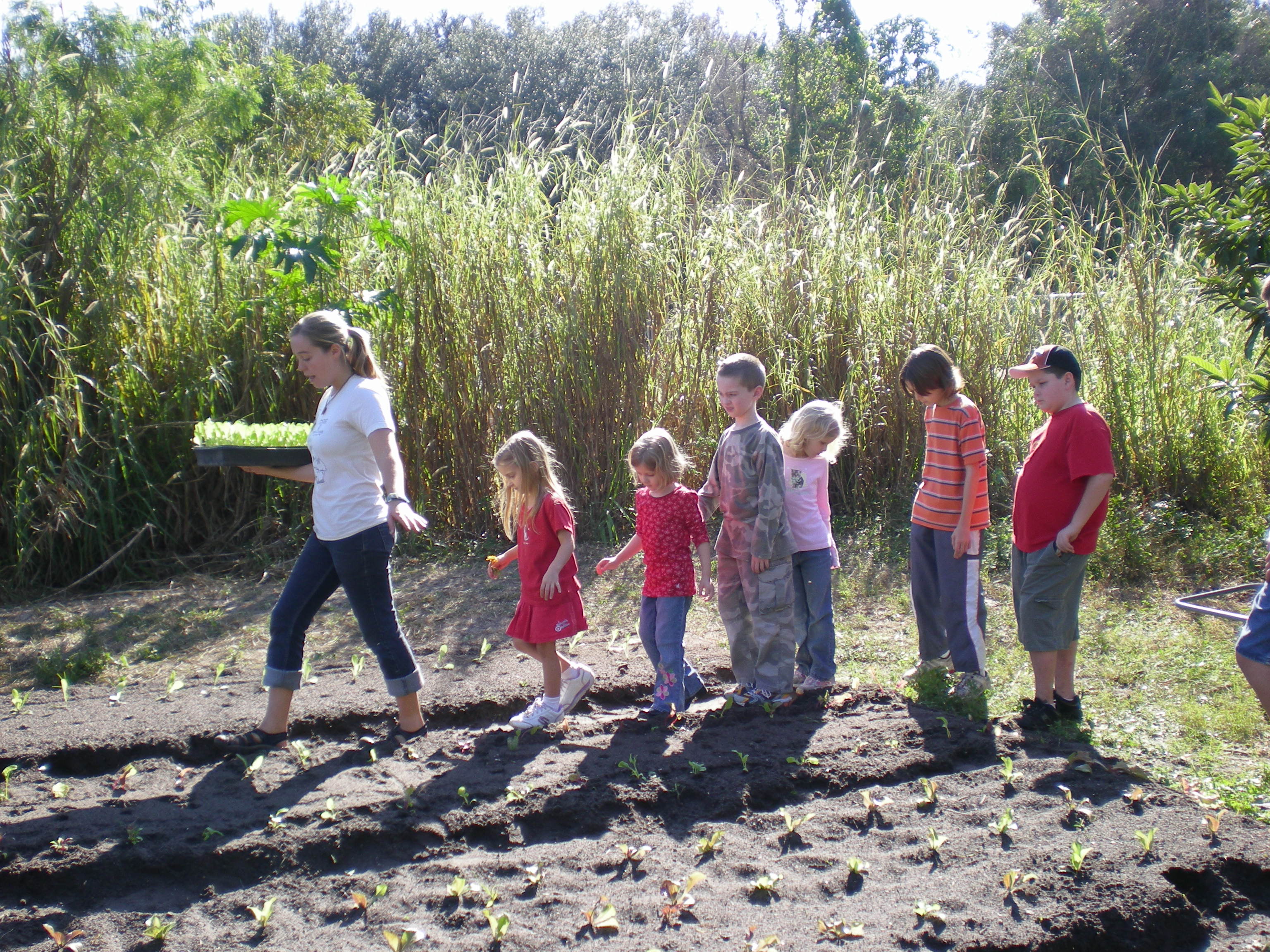 Field Trips Sweetwater Organic Farm
