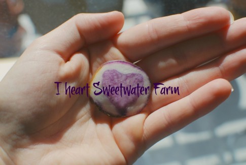 Jenny's Supper Club I heart SW Radish resized