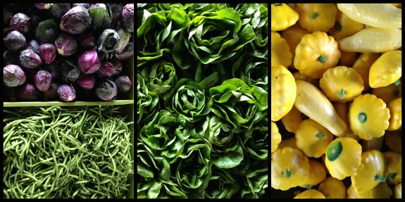 CSA Collage 2