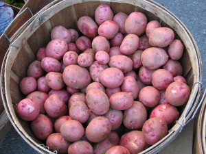 Red-potatoes-3