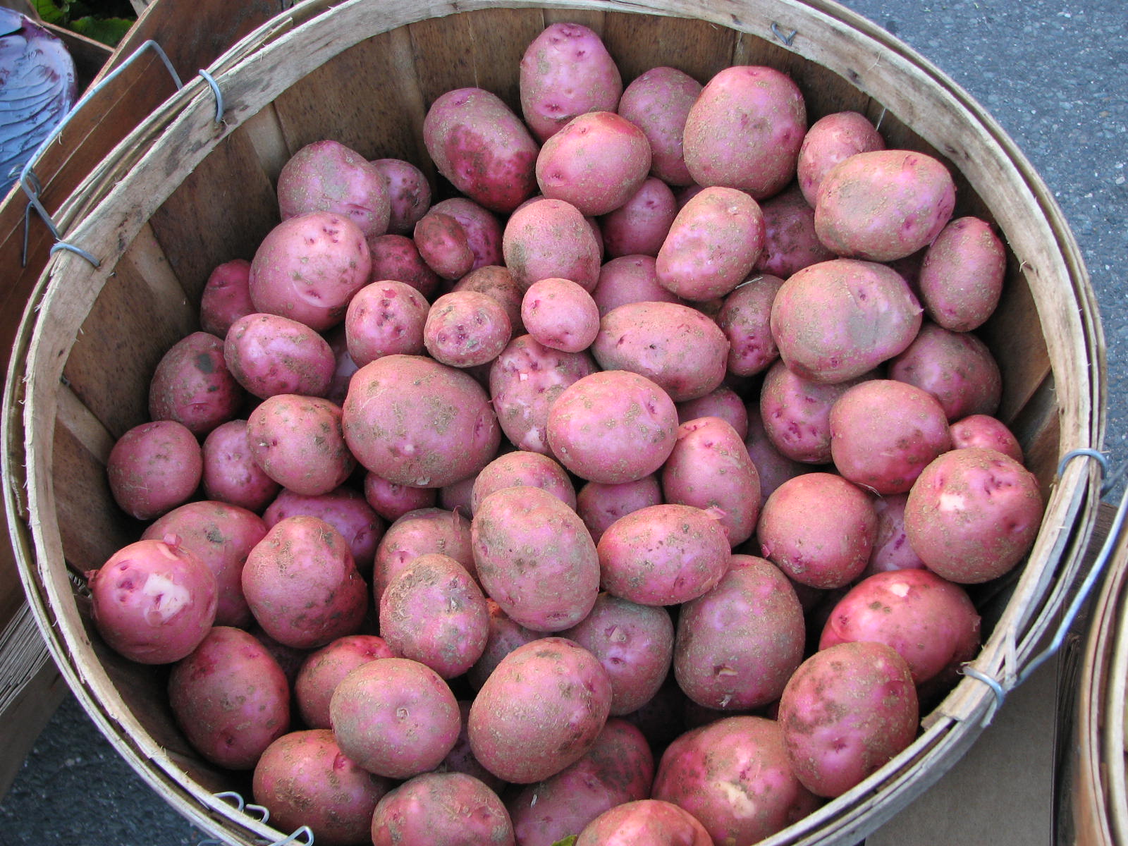 Potatoes  Sweetwater Organic Farm