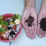 worm-composting workshop