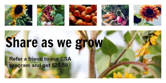 CSA Referral Program Image