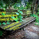 Invasive Species Volunteer Day