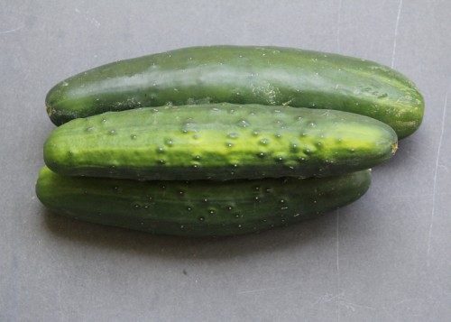 Organic English Cucumber at Whole Foods Market
